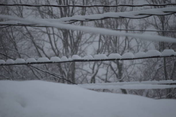 Extreme and fluctuating weather conditions, including high humidity, freezing temperatures, and ice storms can cause ice to form on power lines. Ice weight can put a lot of stress on power lines and damage equipment. Snow, rain, or freezing rain can also create conditions to start pole fires. In windy conditions, icy lines can whip violently and gallop, causing tie wires to break, wood poles and cross arms to snap, and even steel towers to crumple.
