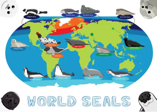 Vector illustration of Seal Distribution World Map Cartoon Vector