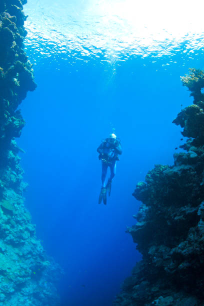 istock Male Scuba Diver swimming between steep walls underwater 937972800