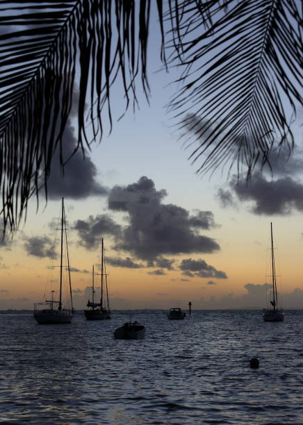 istock Sunrise in Puerto Rico 937980030