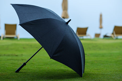 Black umbrella place on green grass background. After rain time