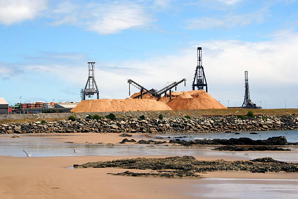 istock Woodchipping in Tasmania, Australia 93799776