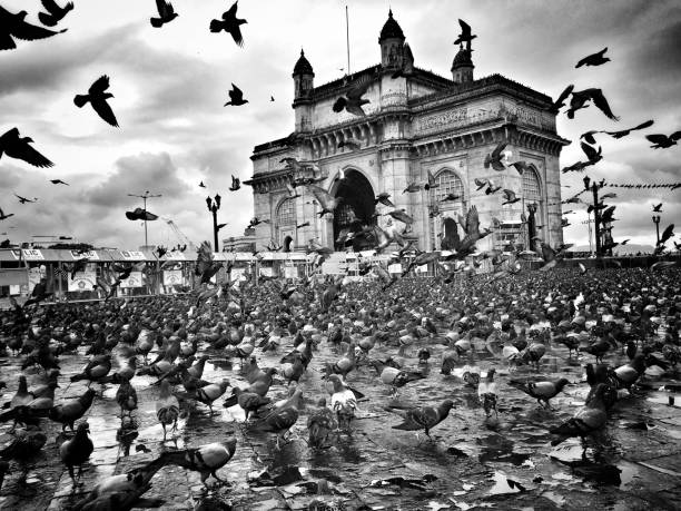 istock Gateway of India 938001508