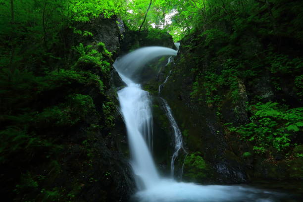 istock Seasonal waterfall in the summer 938004240
