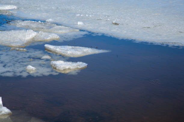 istock cold ocean with ice chunks floating closeup in denmark 938004904