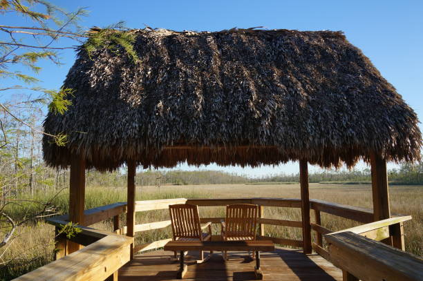 istock tiki hut and chairs in swamp 938010844