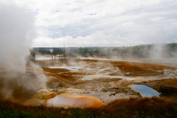 Steaming Geysers and thermal pools at Yellowstone National Park