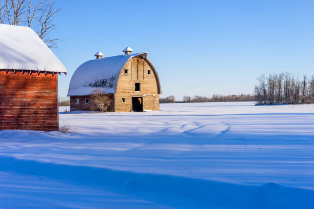 istock Farm barn in winter, rural Alberta 938019994