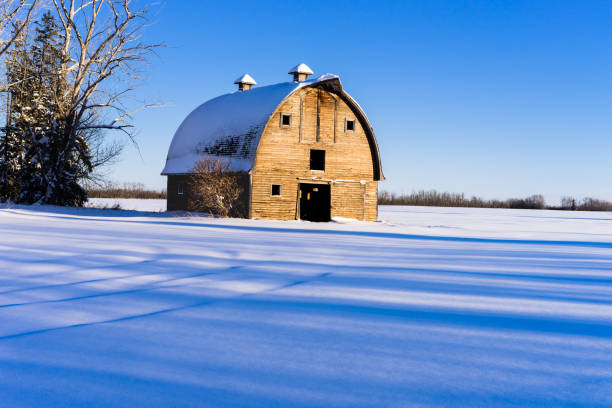 istock Farm barn in winter, rural Alberta 938020032