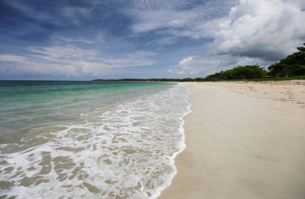 istock Beach of Fiji 938027216