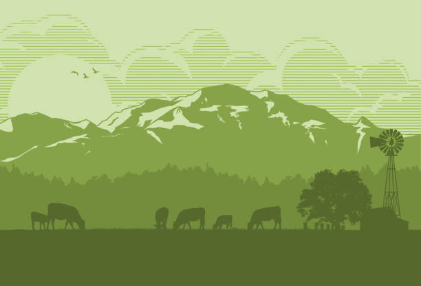 illustrations, cliparts, dessins animés et icônes de silhouette de bovins dans la campagne, illustration vectorielle - ranch