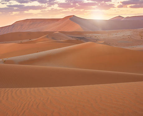 The sun rising over a sand ridge in the distance, a landscape of large sand dunes with peaks like mountains, soft drifting sand in golden morning light.