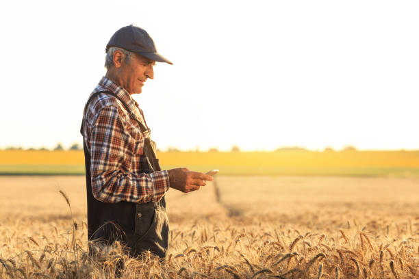 istock Side view of a farmer using smart phone in field 938031580