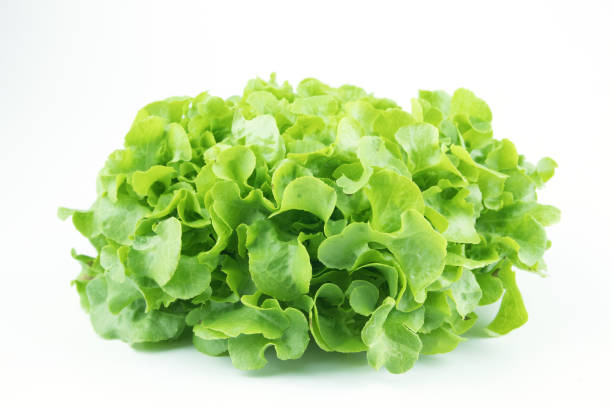 istock Close-up fresh salad on white isolated background 938041510
