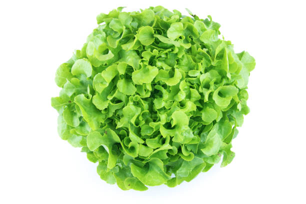 istock Top view angle of fresh salad on white isolated background 938041514