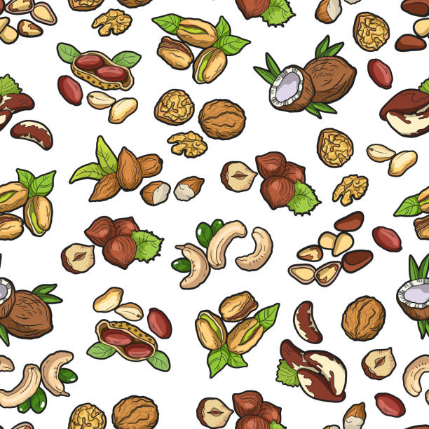 seamless_pattern_nuts_collection - nut walnut almond brazil nut stock illustrations