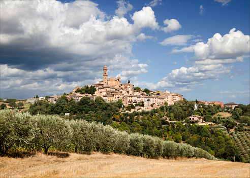 Montelupone, Macerata, Italy - July 20, 2011: Village' view at the hill top with a line of olive tree