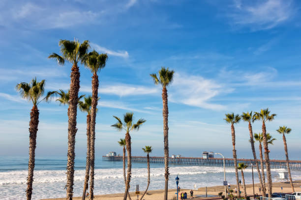 istock California Oceanside pier with palm trees view 938051194