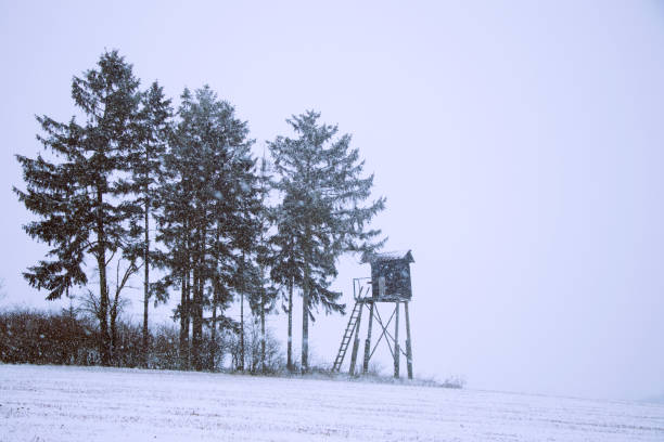 istock Hunting tower in countryside during snowstorm 938053860