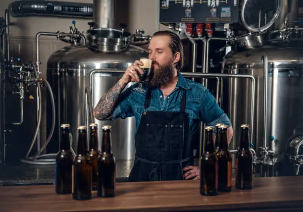 Portrait of tattooed, bearded hipster male manufacturer tasting beer in the microbrewery.