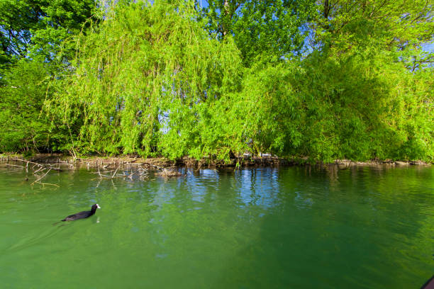 Park with sea in Munich