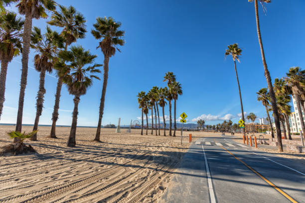 istock Santa Monica bike path on beach beach 938057828