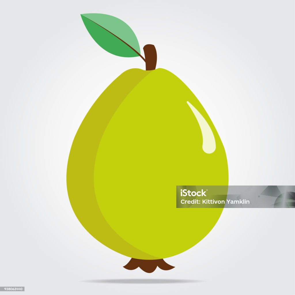 Ilustración de Frutas De Guayaba En Un Espacio En Blanco Con Sombras y más Vectores Libres de Derechos de Guayaba - iStock Ilustración de Frutas De Guayaba En Un Espacio En Blanco Con Sombras y más Vectores Libres de Derechos de Guayaba - iStock