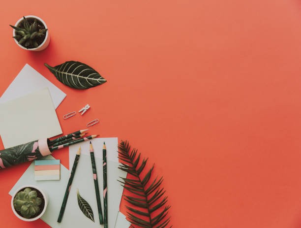istock Flat lay trendy workspace with succulent and accessories on orange background. Top view 938064094