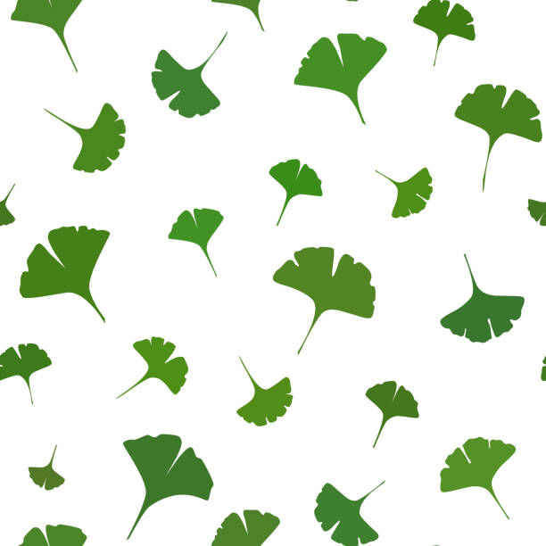ilustrações, clipart, desenhos animados e ícones de ginkgo deixa seamless pattern no fundo branco. vector - ginkgo ginkgo tree leaf biloba