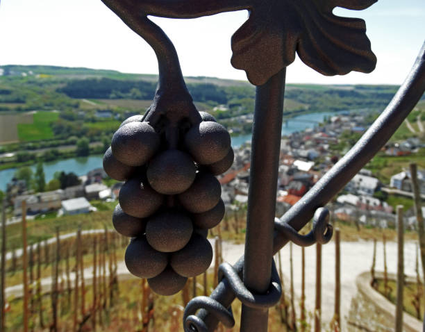 istock The River Moselle city view... 938064400