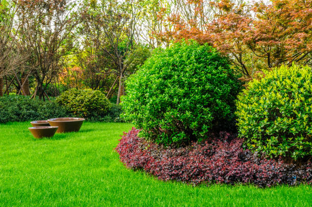 istock Green lawn, the front lawn for background,garden landscape design 938064552