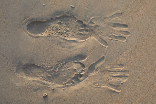 Imprint of feet and hands on white sand beach