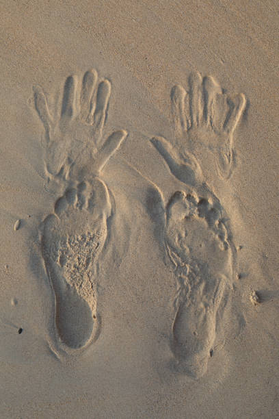 Imprint of feet and hands on white sand beach