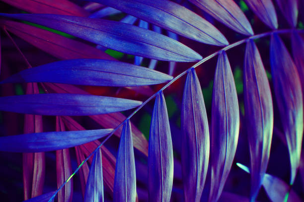 istock Ultra Violet background effect made of tropical palm leaves. 938070902