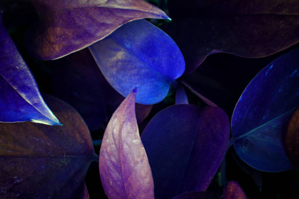 istock Ultra Violet background effect made of fresh leaves. 938070916
