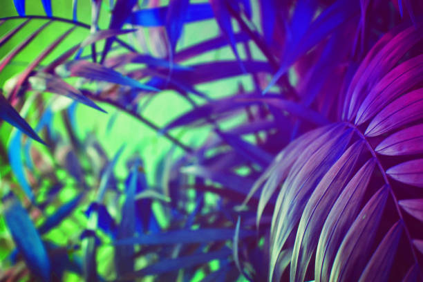 istock Ultra Violet background effect made of tropical palm leaves. 938070922
