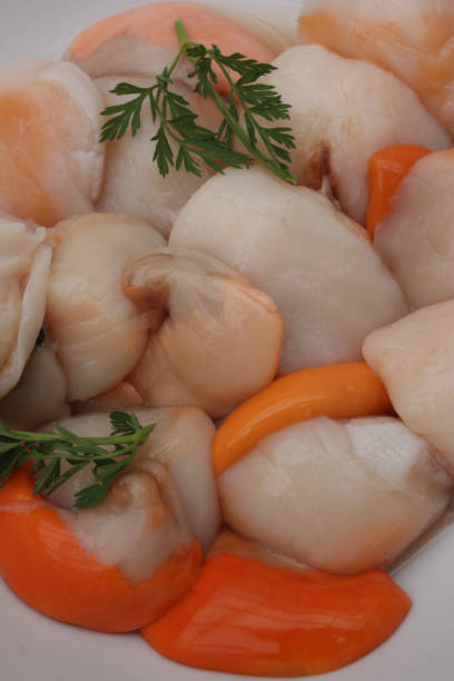 istock Scallop shell French gastronomy 938075792