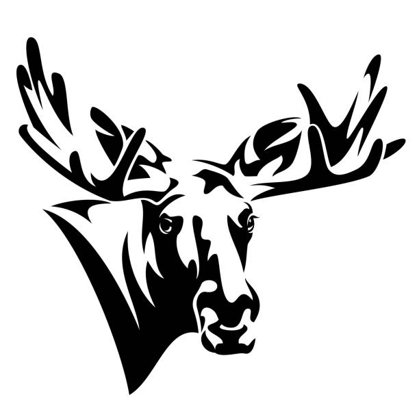 ムース頭正面黒と白のベクトルのデザイン - moose head点のイラスト素材／クリップアート素材／マンガ素材／アイコン素材
