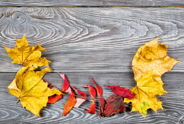 istock Wooden background with autumn leaves 938093390