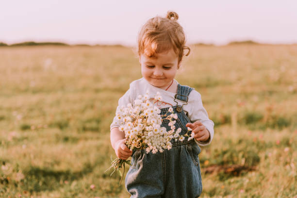 маленькая девочка на зеленом лугу - baby toddler child flower стоковые фото и изображения