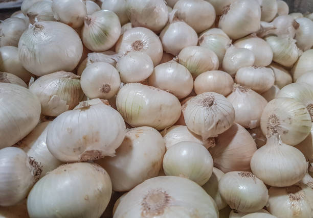 White onions bunch raw uncooked ready to sale in vegetable market