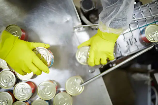Overview of gloved human hands taking canned seafood from production-line ready for sale in supermarkets