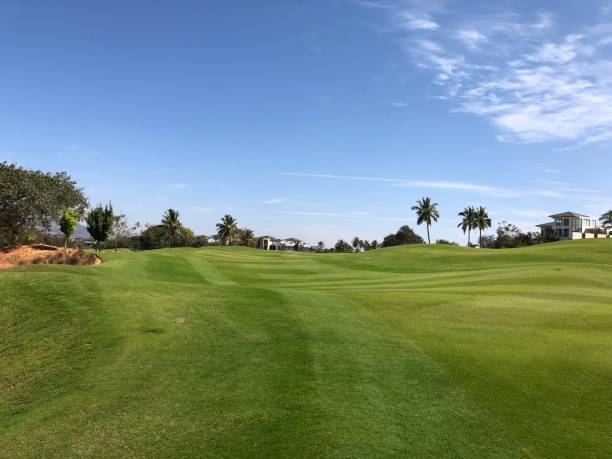 istock Over the fairway greens 938111724