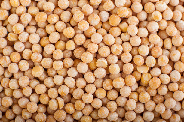 istock healthy food. chickpeas background. chickpeas texture, macro, top view 938119676