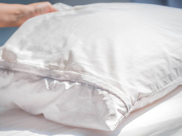 istock Using zippered dust mites pillow covers is the easiest and fastest way to protect your allergy. 938127410