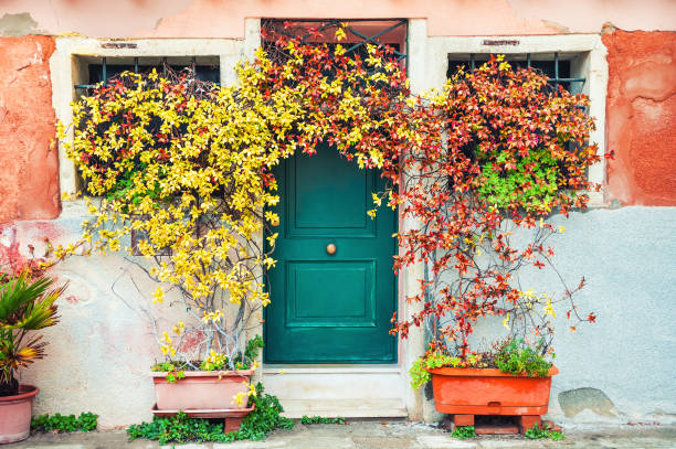 Decorative plants near the door. Venice, Italy.