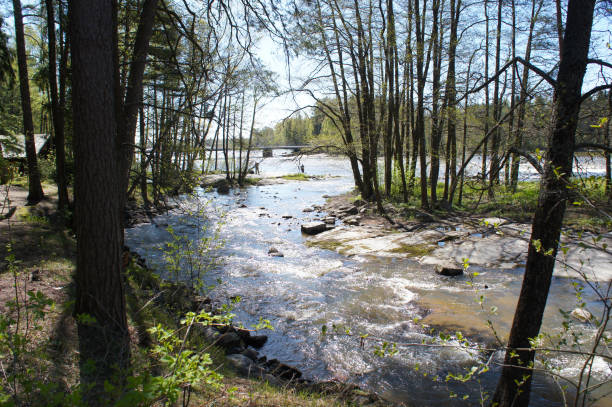 istock Spring landscape of forest and rural river at Finland 938128616