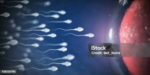 Sperm And Egg Cell On Microscope Scientific Background Stock Photo - Download Image Now