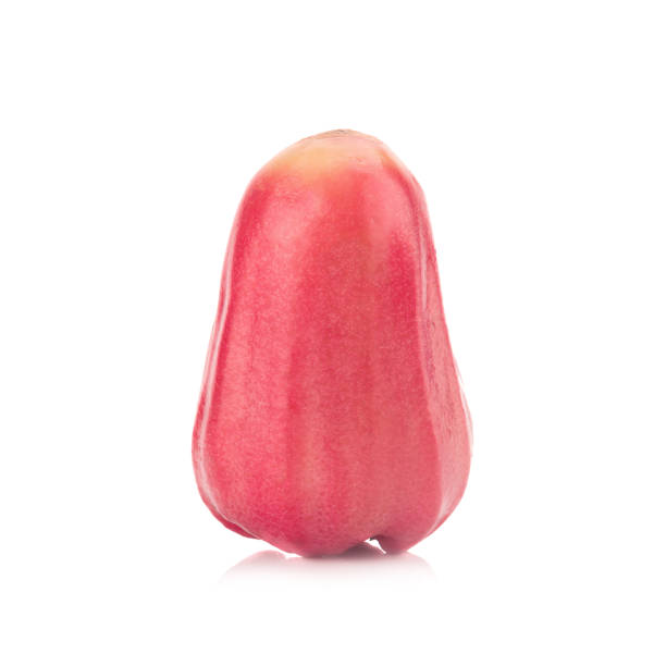 istock Rose apple isolated on the white background 938136540