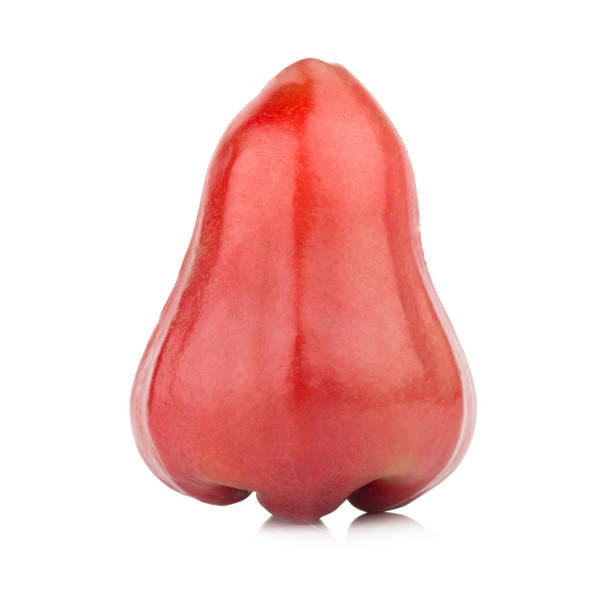 istock rose apple from thailand isolated on white background 938136584